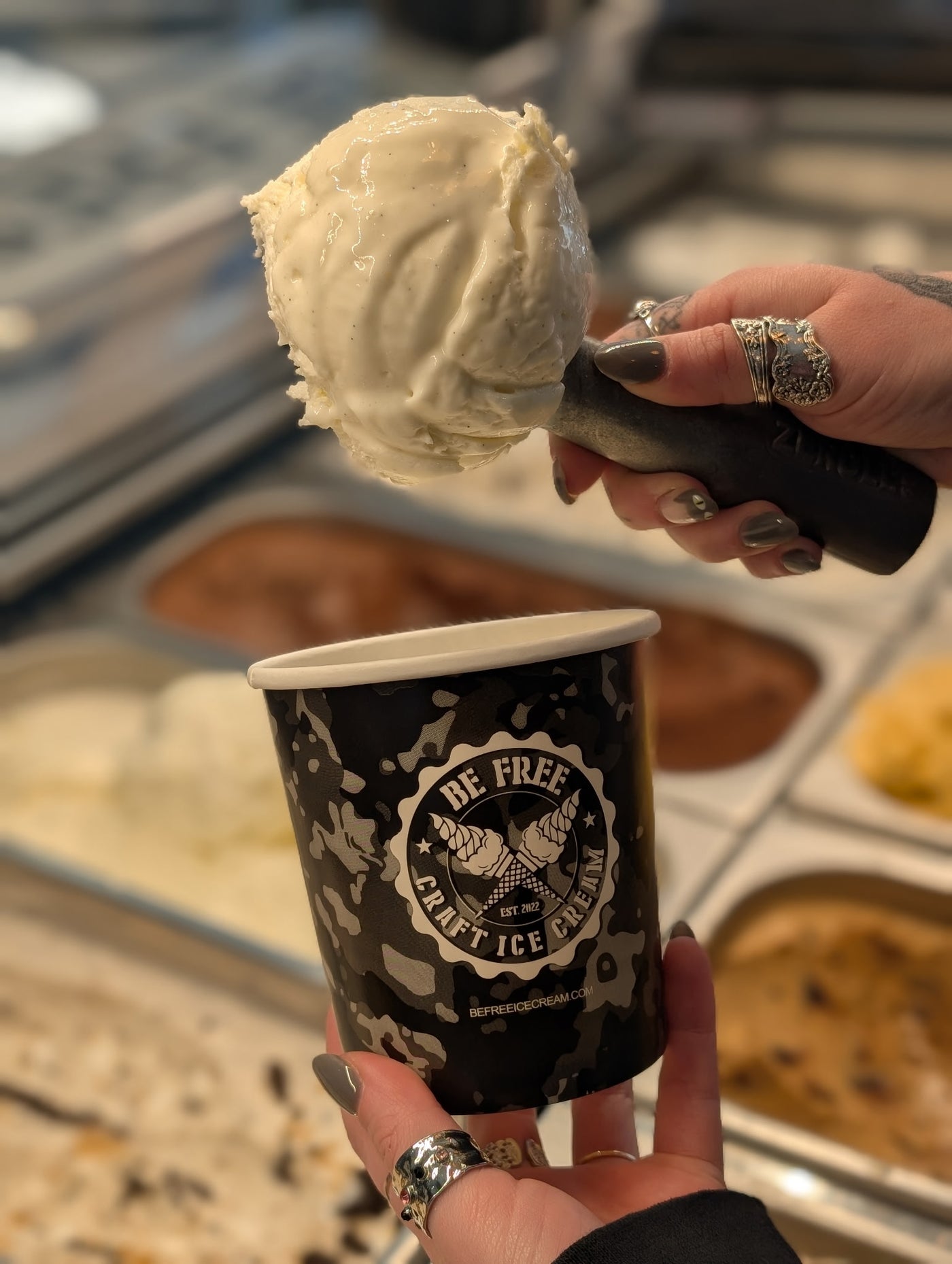 Vanilla Ice Cream Pint