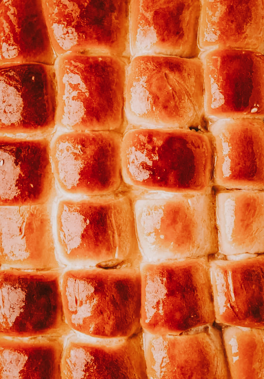 Parker House Dinner Rolls