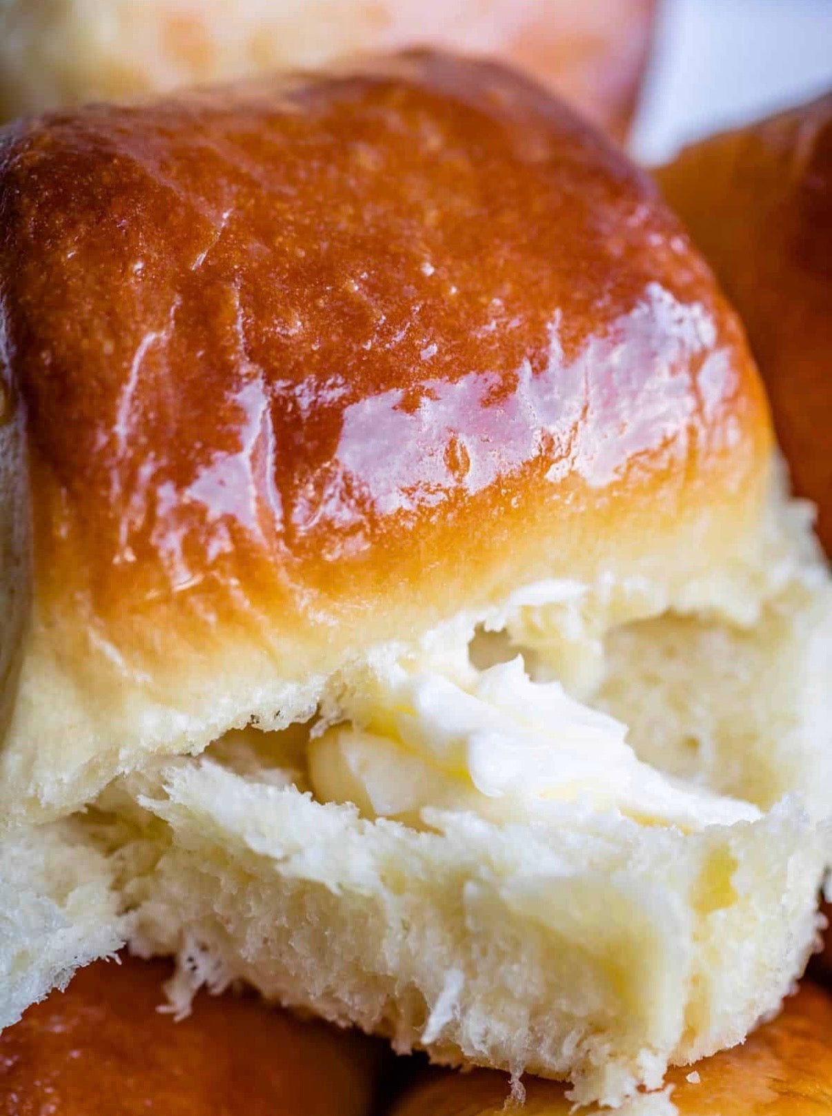 Parker House Dinner Rolls